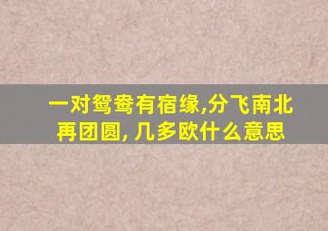 一对鸳鸯有宿缘,分飞南北再团圆, 几多欧什么意思